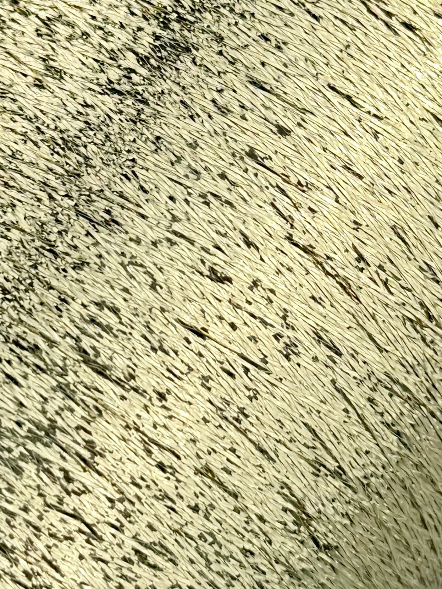 Lurexgarn 6900m/100g – Metallfaser col. Hellgold